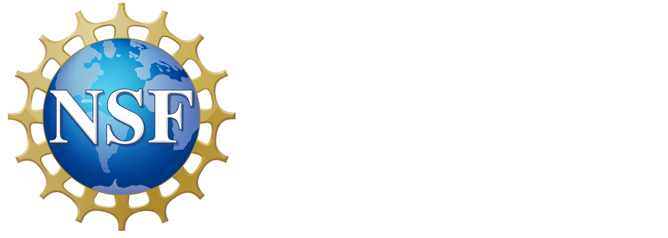usnsf-cropped (1)