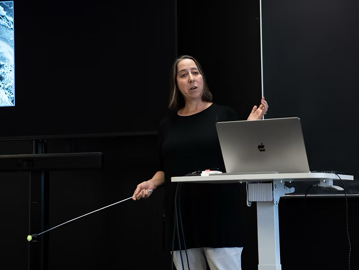 Decoding epithelia behavior: A conversation with Sally Horne-Badovinac
